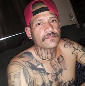 Meet your Posher, Hector